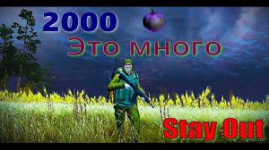 ⭐Stay Out ⭐Сталкер-Онлайн👍 2000 яблок это много !!!