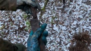 СВИСТОК УНТЕР-ОФИЦЕРА И ДРУГИЕ НАХОДКИ! КОП ПО ВОЙНЕ 2021!