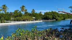 6345117-hd_1920_1080_30fps