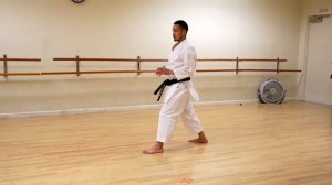 Mawashi Geri Tutorial (Shotokan Karate)