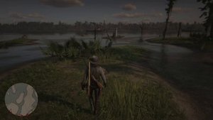 Яйца аллигатора Red Dead Redemption 2 (RDR2)