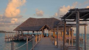 6073444-uhd_3840_2160_25fps