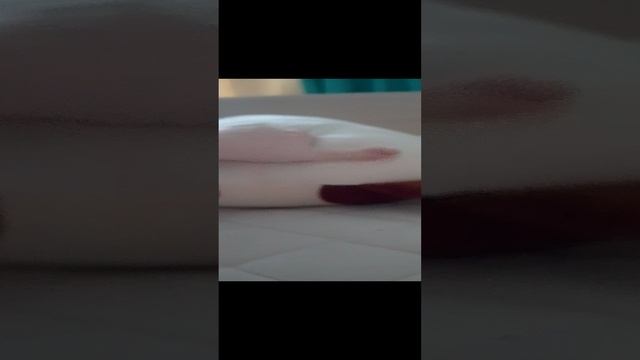 кот батон