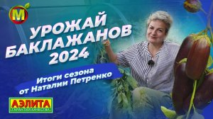 Урожай баклажанов 2024! Итоги сезона от Наталии Петренко.