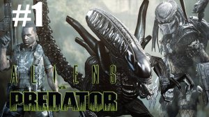 Aliens vs Predator Похождение #1 __Чужой Против Хищника__