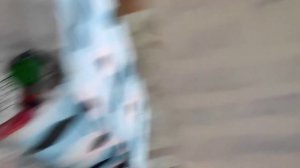 СОБАЧИЙ НОВЫЙ ГОД и ГОРА ПОДАРКОВ ОТ СОБАЧЬЕГО ДЕДА МОРОЗА!!! ЧТО ПРИНЁС ДЕД МОРОЗ ИГРУШКАМ??!!!