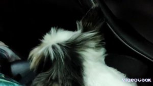 Приехали в летние переключения!|Ура!!!|  Следующий ролик 1-ого сентября!| Не может быть!| Пока!