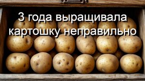 Как 3 года я мучилась с урожаем картошки, пока не узнала об этой ошибке! Советы для начинающих