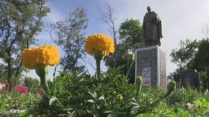 Наши хорошие соседи