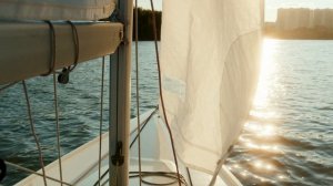 8918282-uhd_4096_2160_24fps