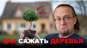 Озеленение Участка. Сколько я потратил? Когда делать? Какие растения сажать?