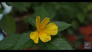 01. Frainbreeze & Lucid Blue – Light My Way (Original Mix)