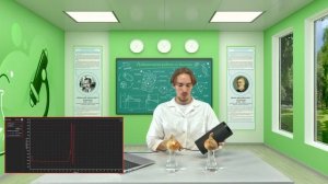 13 Влияние освещенности на рост побегов лука