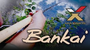 Пробковая рукоять и современные технологии в MAXIMUS Bankai