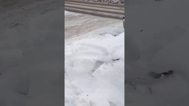 Почему люди бросают на зиму автомобили на улице