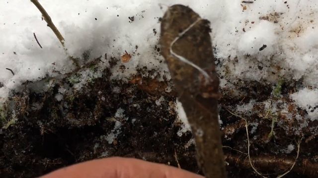 КОП ПО ВОЙНЕ! ПОЗИЦИИ ВЕРМАХТА! ЛОЖКОВИЛОЧНЫЙ ВЫХОД) смотреть онлайн