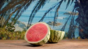 8186293-hd_1920_1080_30fps