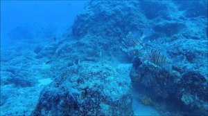 "Глубокая стена" ("Deep Wall"). 08.10.2023. Текирова-Кемер-Турция.