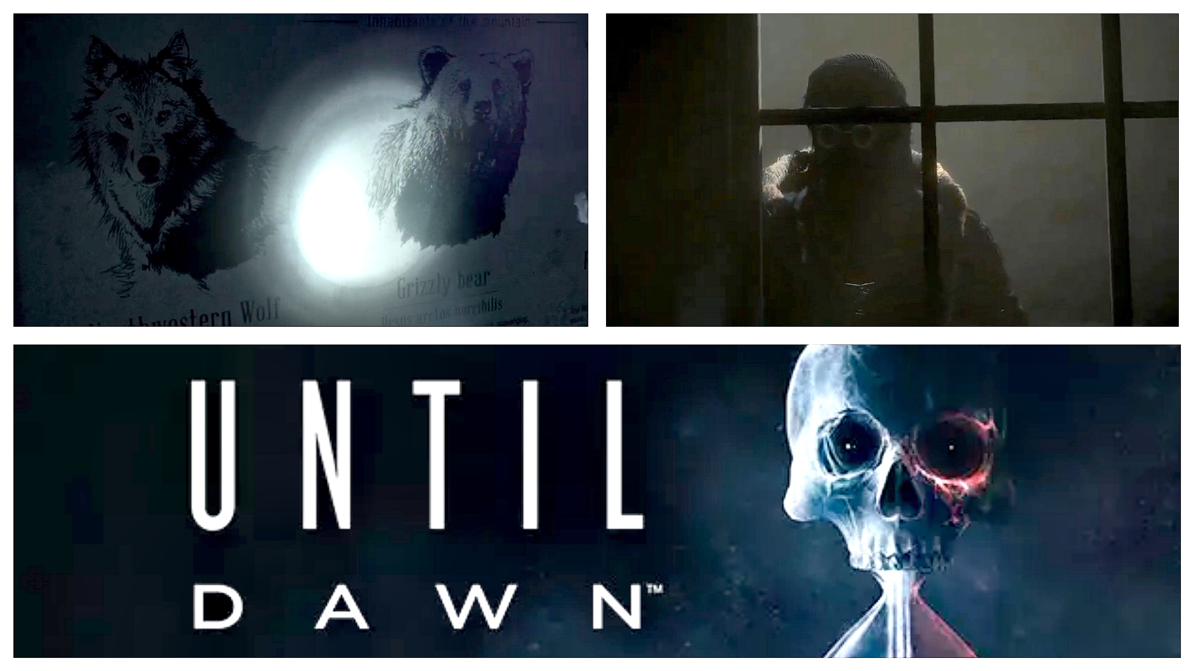 Until Dawn (Дожить до рассвета) #3 Прогулка по лесу