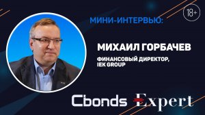 Интервью Cbonds: Михаил Горбачев, финансовый директор IEK GROUP