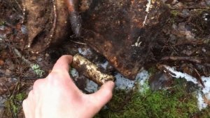 КОП ПО ВОЙНЕ! СЕРЕБРО НА НЕМЕЦКИХ ПОЗИЦИЯХ!