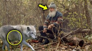 Эта Беременная Волчица Умоляла Старика Помочь Ей, Но После Того, Как Он Это Сделал, Произошло Нечт