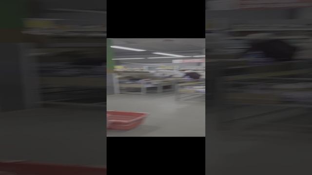 1000082599.mp4