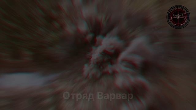 Денацификация противника проходит успешно