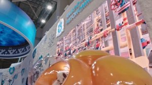 МВФР 2023-2024 Ямало-Ненецкий автономный округ