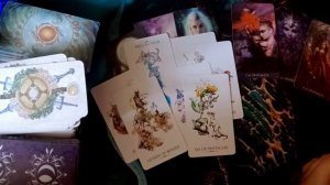 Почему нет общения ТАРО