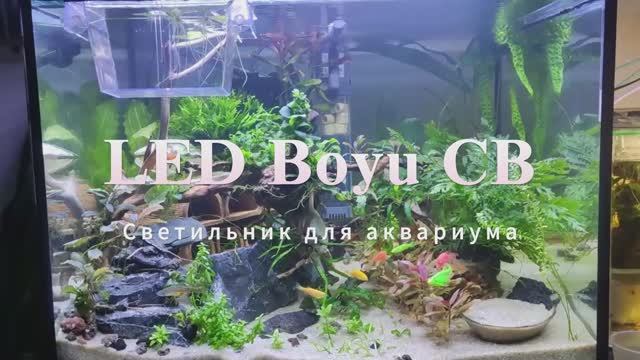 Светильник для аквариума LED Boyu CB