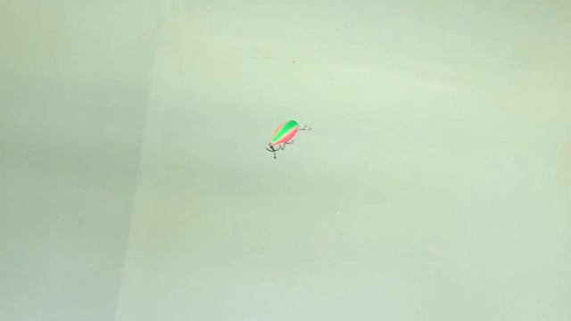 Небольшой, но мощный I LureMax KABUTO для ловли в верхнем слое воды.