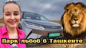 Парк Львов в Ташкенте. Тестируем новый BYD Yuan Up.