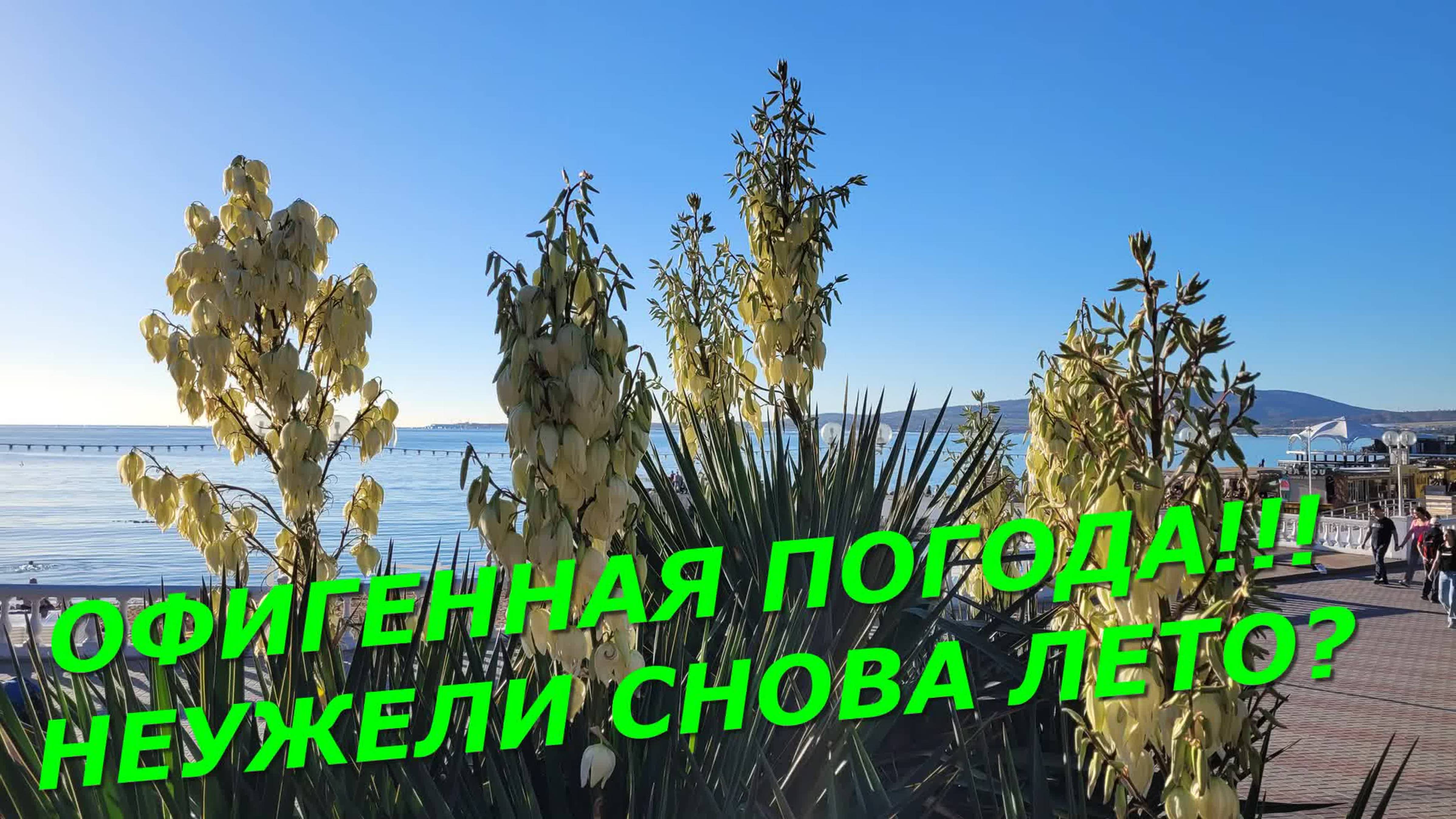 ОФИГЕННАЯ ПОГОДА/Геленджик 2023/Старый фонд в ЦЕНТРАЛЬНОЙ части города/Парусная регата #Виднаморе