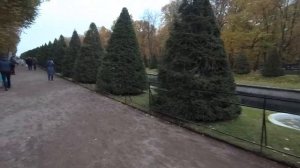 Петергоф (2019.10.10)