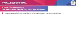 Тема 3. Вопрос 11. Травма позвоночника