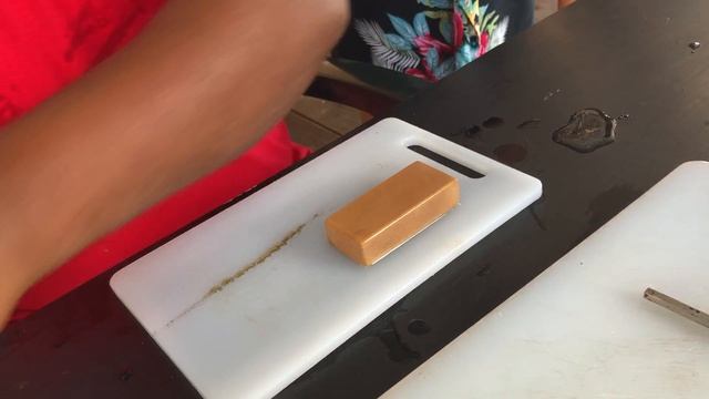 Заготовка биоматериала раковины