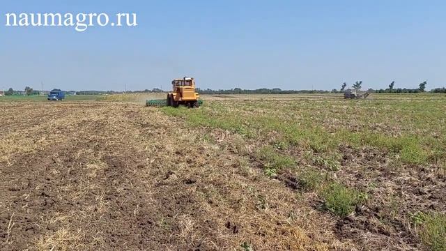 Дисковая борона БДМ 7х2 ПГ РадогостМаш с трактором К-700А.