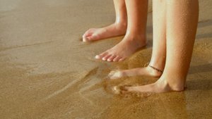 8925442-uhd_3840_2160_25fps