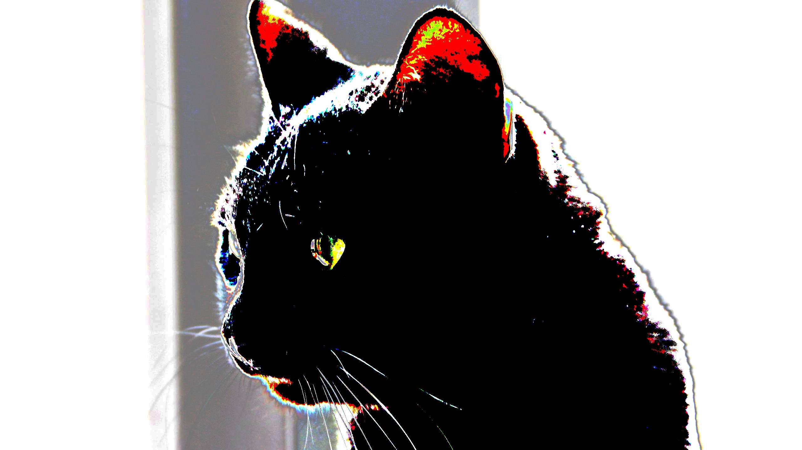 гороскоп на неделю от Марата Лутфрахманова смотреть онлайн