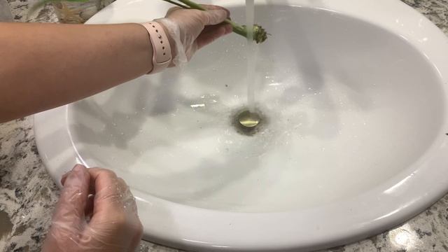 №28. Спатифиллум. Гнилые и испорченные корни. Что делать? Восстанавливаем растение. смотреть онлайн