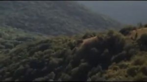 Голубые молнии  -  Давай Браток За синие береты!