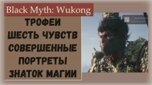 Black Myth Wukong. Трофеи Шесть чувств Совершенные портреты Знаток магии