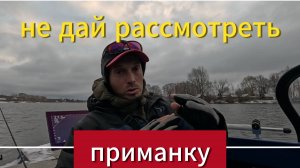 Не дай рассмотреть приманку.