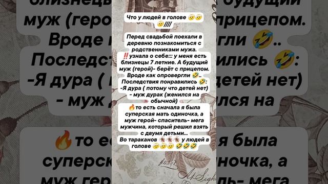 тараканы 🪳🪳🪳