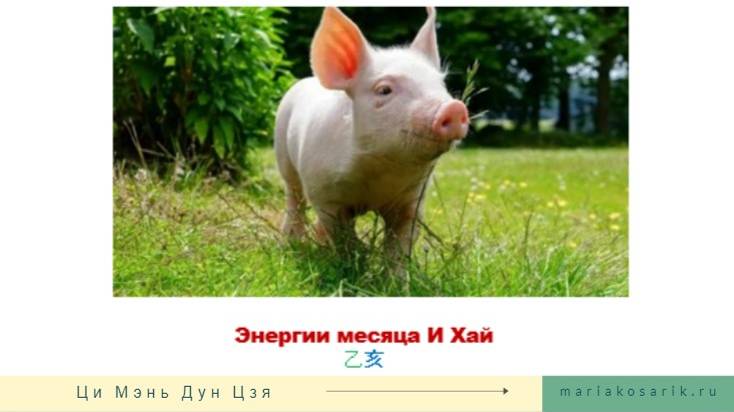 ЭНЕРГИЯ НОЯБРЯ 2024 (И ХАЙ 乙亥)