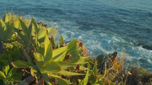 8214961-hd_1920_1080_30fps