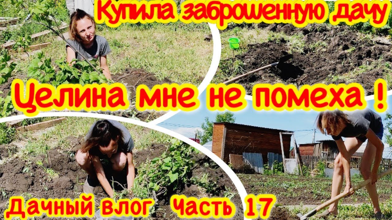 ПРИВОЖУ В ПОРЯДОК ЗАБРОШЕННЫЙ УЧАСТОК/КАК РАЗРАБОТАТЬ ЦЕЛИНУ/ЗОНА ОТДЫХА С НУЛЯ СВОИМИ РУКАМИ