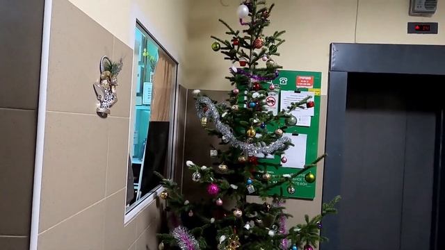 Новогодние чудеса - детские рисунки, зимний лес, красота за моим окном.