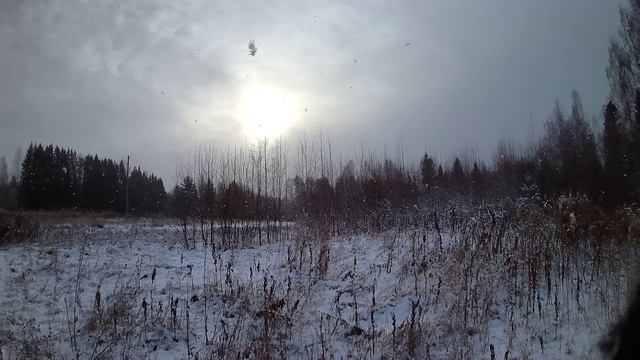 Снежок